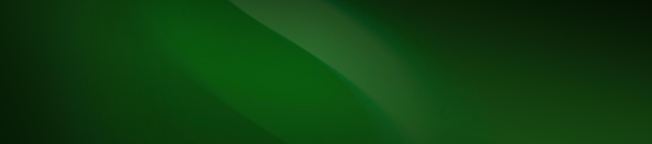 shannons green background banner